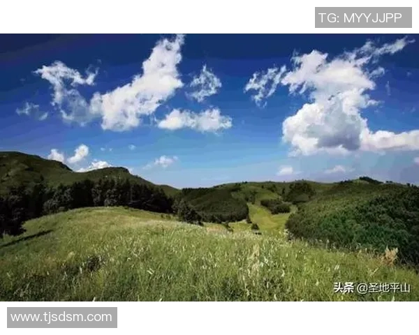 麦孔的传奇之旅:从草原到城市的奋斗与梦想