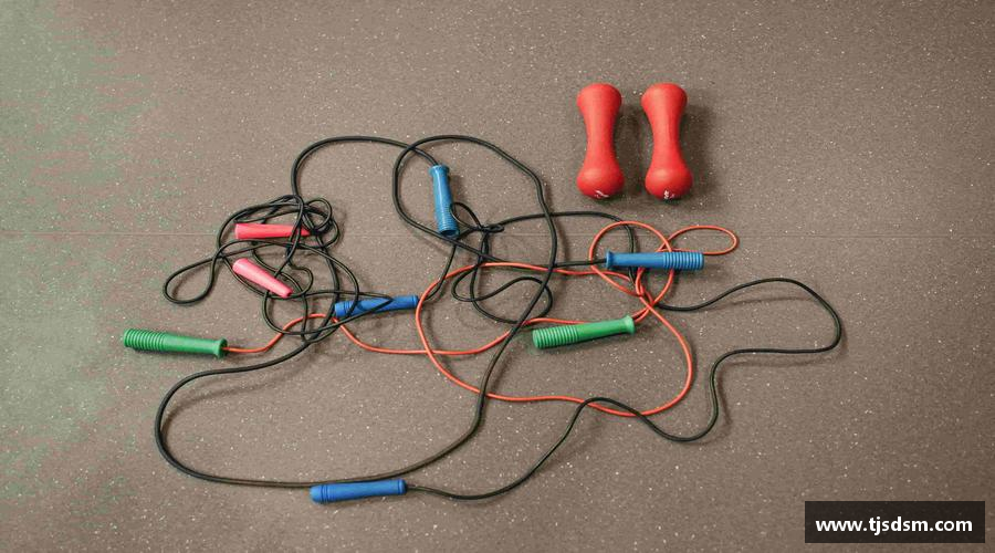 三亿体育手机最新版本速度与激情，梦想加速！